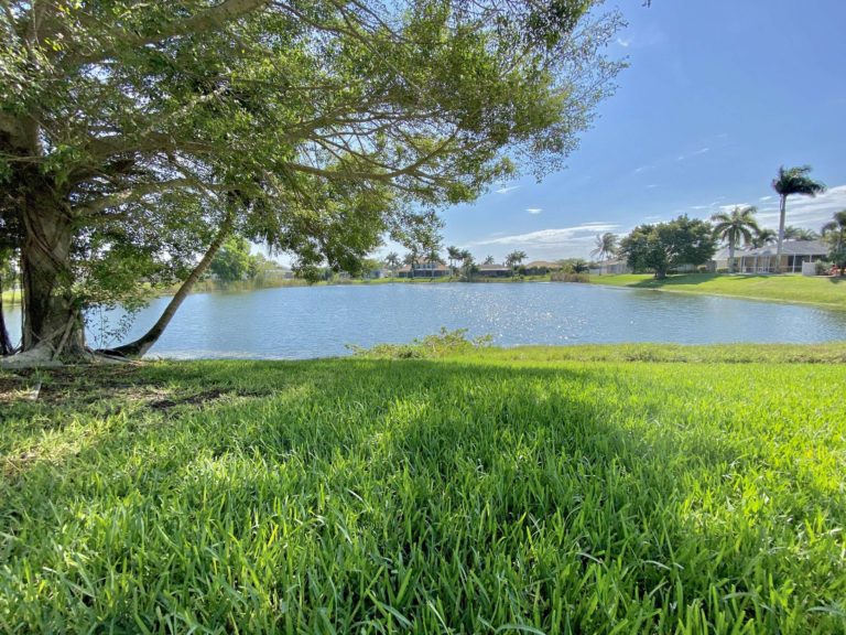 i008967 preview 768x576