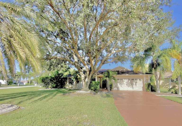 i030239 preview 768x532