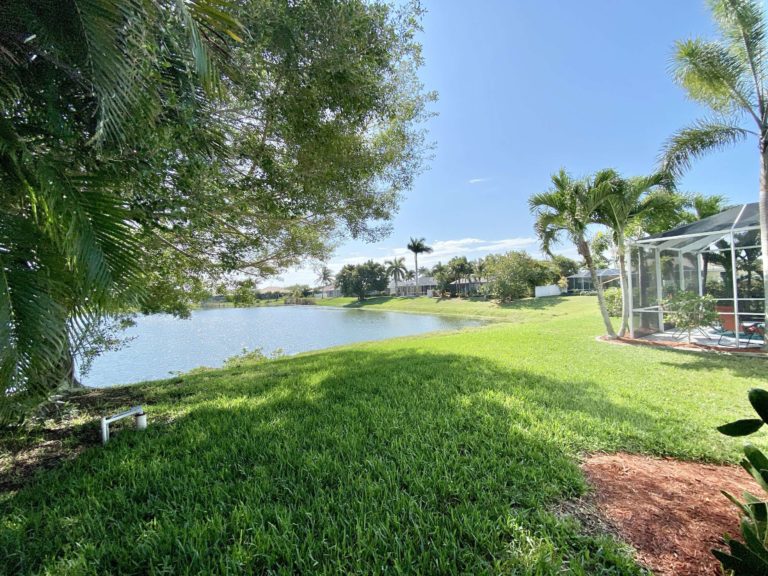 i089894 preview 768x576